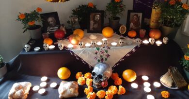 Día de Muertos Contará con Respaldo de la Sociedad Económica en Málaga