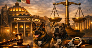 Propuesta en Congreso CDMX: Castigo de 20 Años por Asesinar con Perros