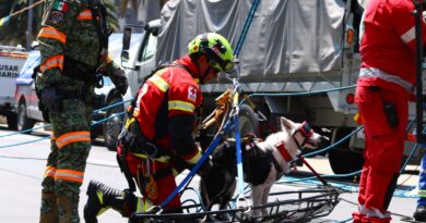 Cruz Roja Lidera Operativo de Rescate en Ejercicio Interinstitucional