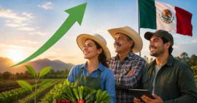 México Mantiene uno de los Mercados Laborales más Sólidos de la OCDE