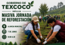 Nazario Gutiérrez Impulsa Histórica Jornada Ambiental con Entrega Masiva de Árboles Frutales