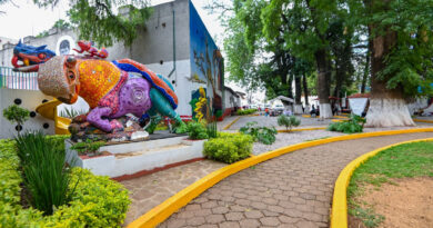Presenta Chertorivsky a Nombre de MC Denuncia Basada en una Falacia