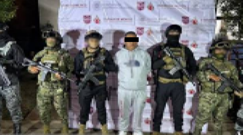 Aseguran Drogas, Armas y Detienen a Presuntos Delincuentes en Siete Estados