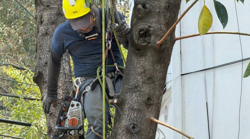 Brigada Tormenta Intensifica Acciones Preventivas en Cuauhtémoc