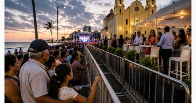 Boca del Río lo que Pasa Cuando las Tradiciones se Privatizan