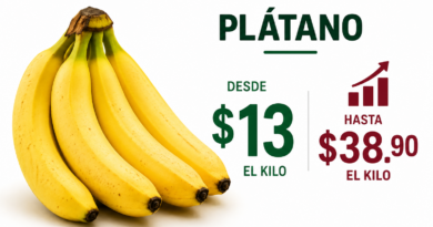 Profeco Detecta Diferencias de Hasta 25.90 Pesos en el Kilo de Plátano