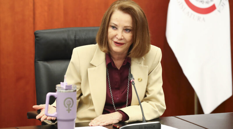 Laura Itzel Defiende Proyecto Para Aprovechar Yacimientos de gas Natural