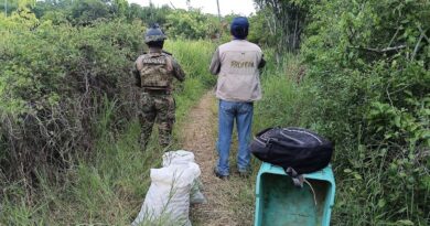 Semar y Profepa Frustran Saqueo de Huevos de Tortuga Golfina