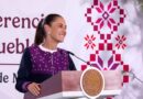Convoca Sheinbaum a Gran Jornada Nacional de Reforestación en los 32 Estados