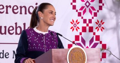 Convoca Sheinbaum a Gran Jornada Nacional de Reforestación en los 32 Estados