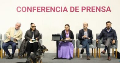 Clara Brugada: Legislación de Rentas No Afectará a la Propiedad Privada
